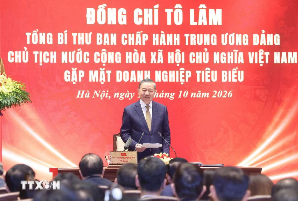 Tổng Bí thư, Chủ tịch nước Tô Lâm: Doanh nghiệp vững mạnh góp phần bồi đắp sức mạnh quốc gia - Ảnh 1