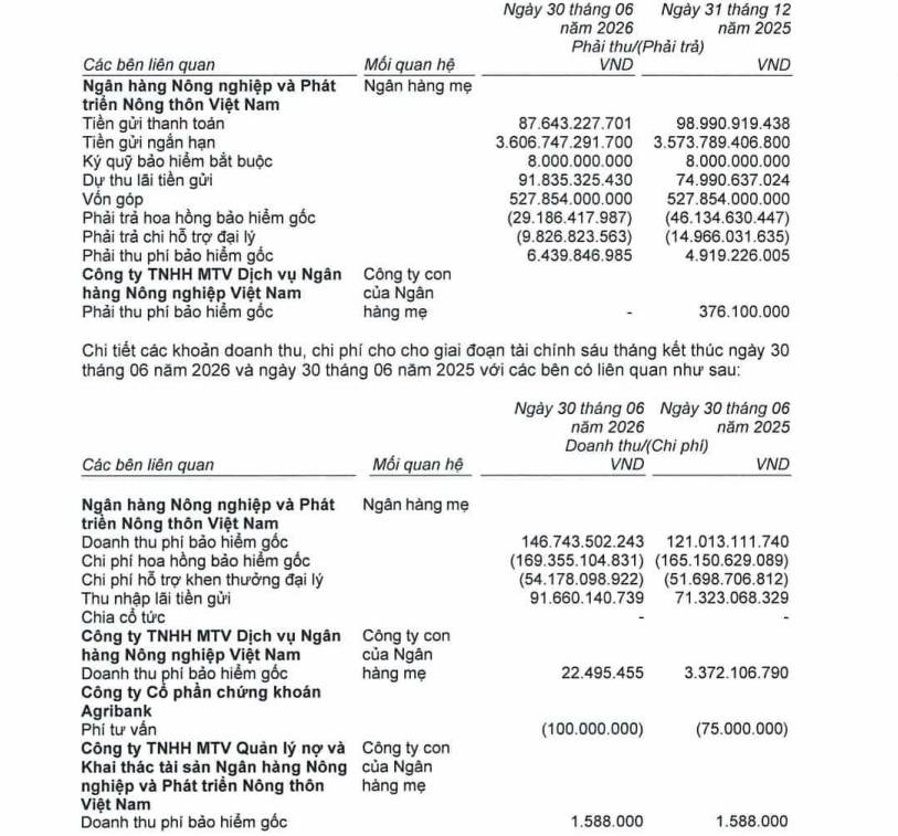 ABIC: Tiền gửi tập trung tại Agribank, khoản phải thu tăng gần gấp đôi - Ảnh 2