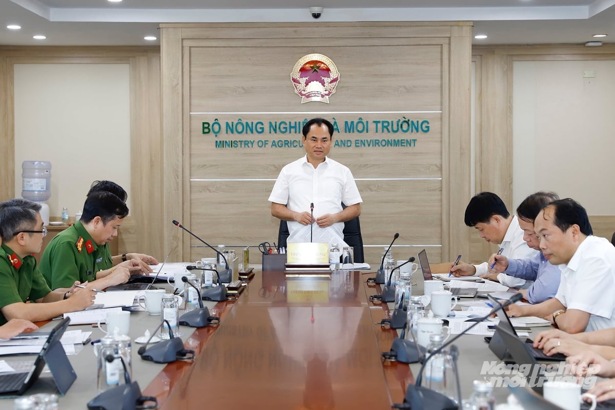 Dữ liệu đất đai: Nền tảng giảm chi phí phát triển và bảo vệ tài nguyên - Ảnh 1