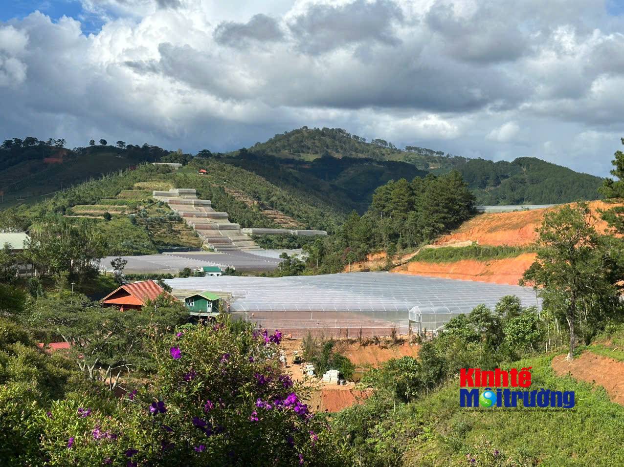 Gắn trách nhiệm người đứng đầu với "lá phổi xanh": Lời giải cho công tác quản lý rừng tại Lâm Đồng - Ảnh 2