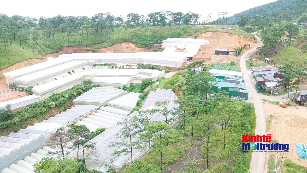 Gắn trách nhiệm người đứng đầu với "lá phổi xanh": Lời giải cho công tác quản lý rừng tại Lâm Đồng - Ảnh 3