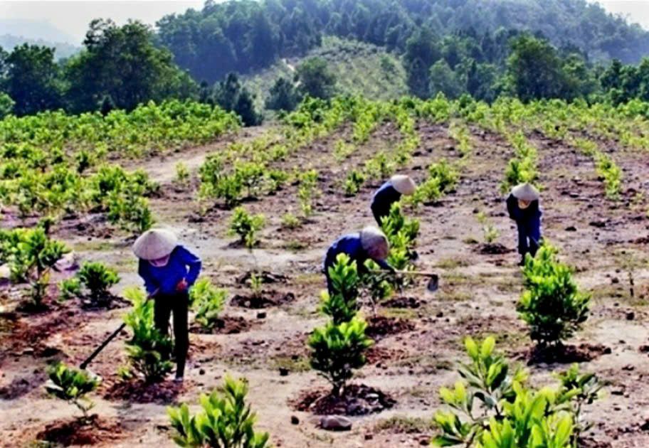 Thanh Hóa: Kinh tế tiếp tục có bước phát triển, quản lý tài nguyên, bảo vệ môi trường được quan tâm - Ảnh 1