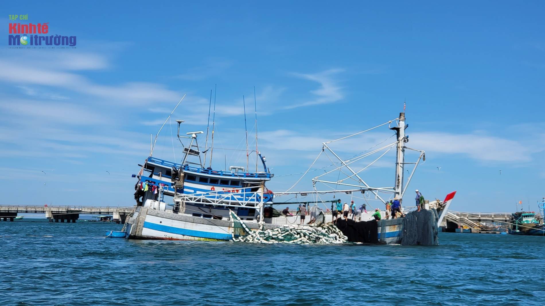 An Giang chống khai thác IUU: Từ chiến dịch 30 ngày đến kỷ cương nghề cá bền vững - Ảnh 2