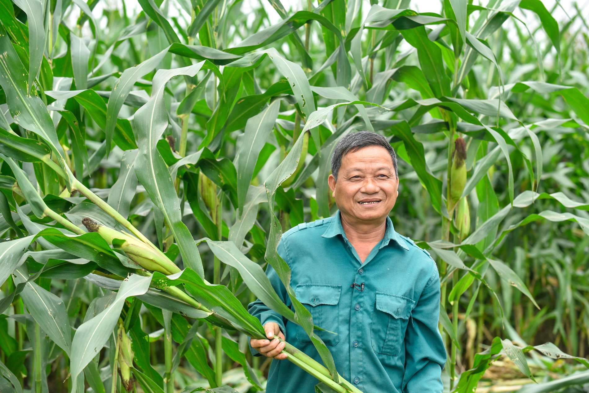 Hành trình phát triển bền vững tại Vinamilk: Từ những thay đổi nhỏ đến các tác động lớn hơn cho cộng đồng - Ảnh 5