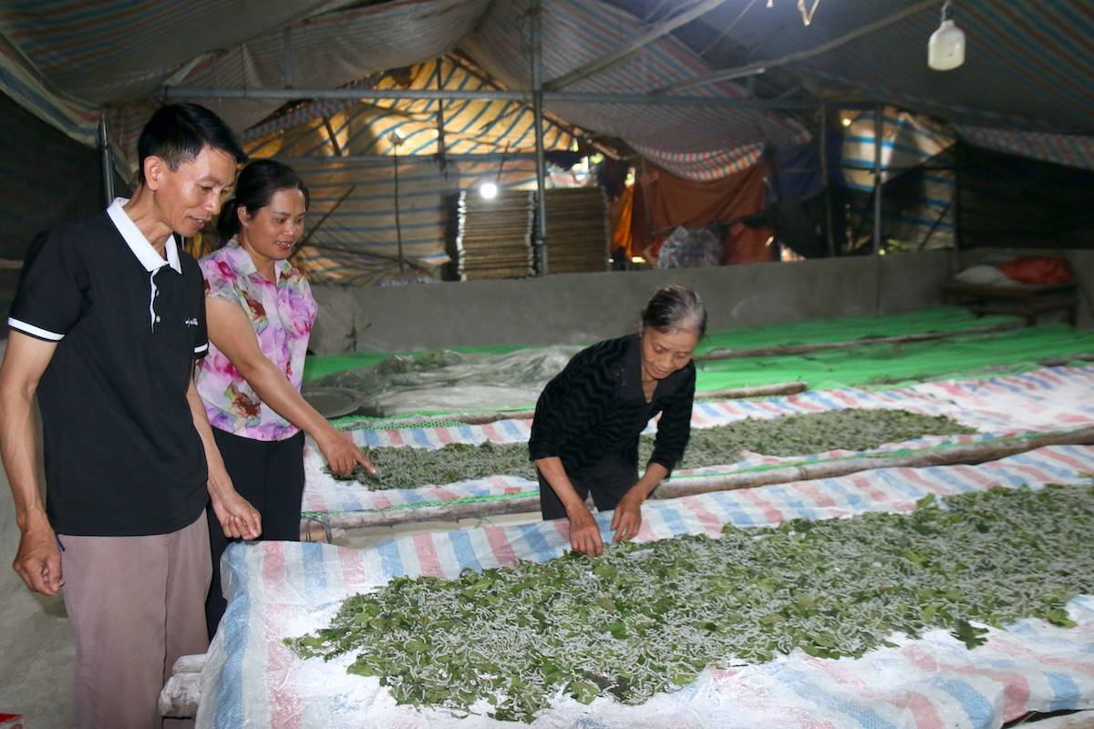 Xây dựng mô hình phát triển kinh tế gắn với chương trình mục tiêu để giảm nghèo - Ảnh 3