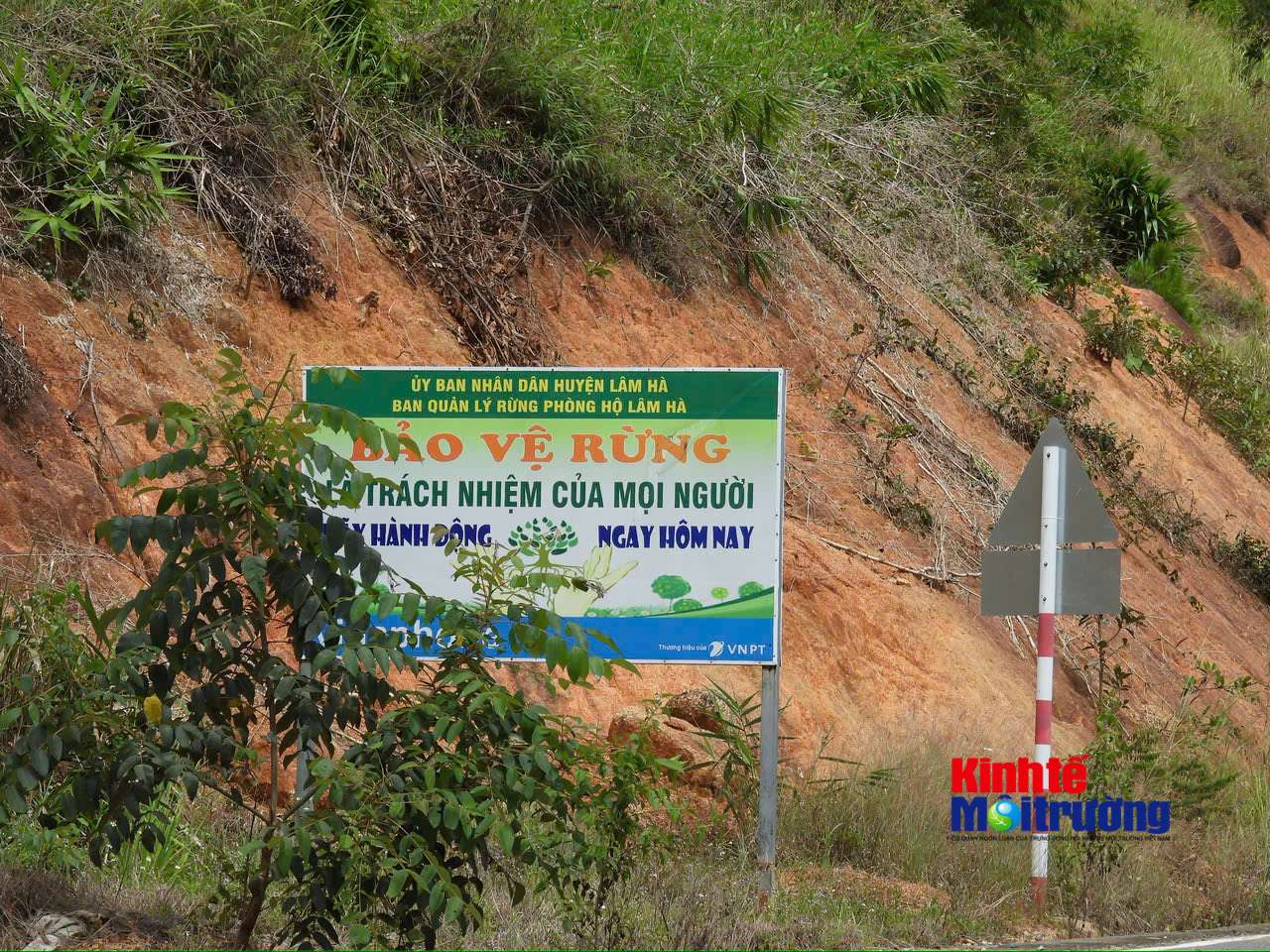 Lâm Đồng tăng tốc phát triển vốn rừng và chủ động kiểm soát vi phạm từ cơ sở - Ảnh 2