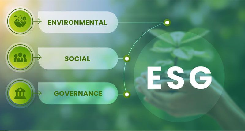 Sự cố ESG và chính sách chi trả cổ tức của doanh nghiệp: Bằng chứng từ rủi ro danh tiếng trên phạm vi toàn cầu - Ảnh 2