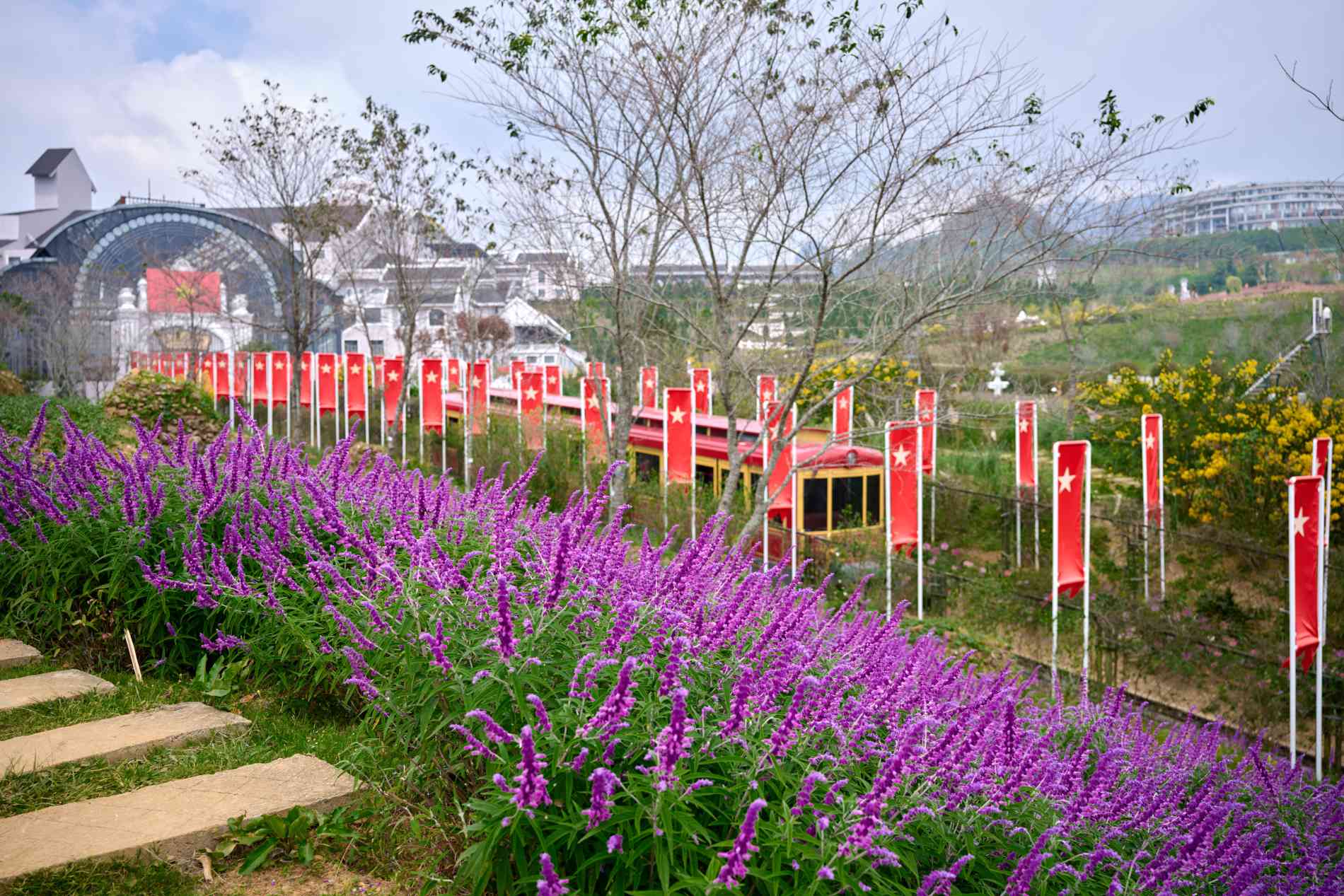 Mục sở thị tam giác mạch khoe sắc, hoa xác pháo tím điểm tô đỉnh Fansipan - Ảnh 4