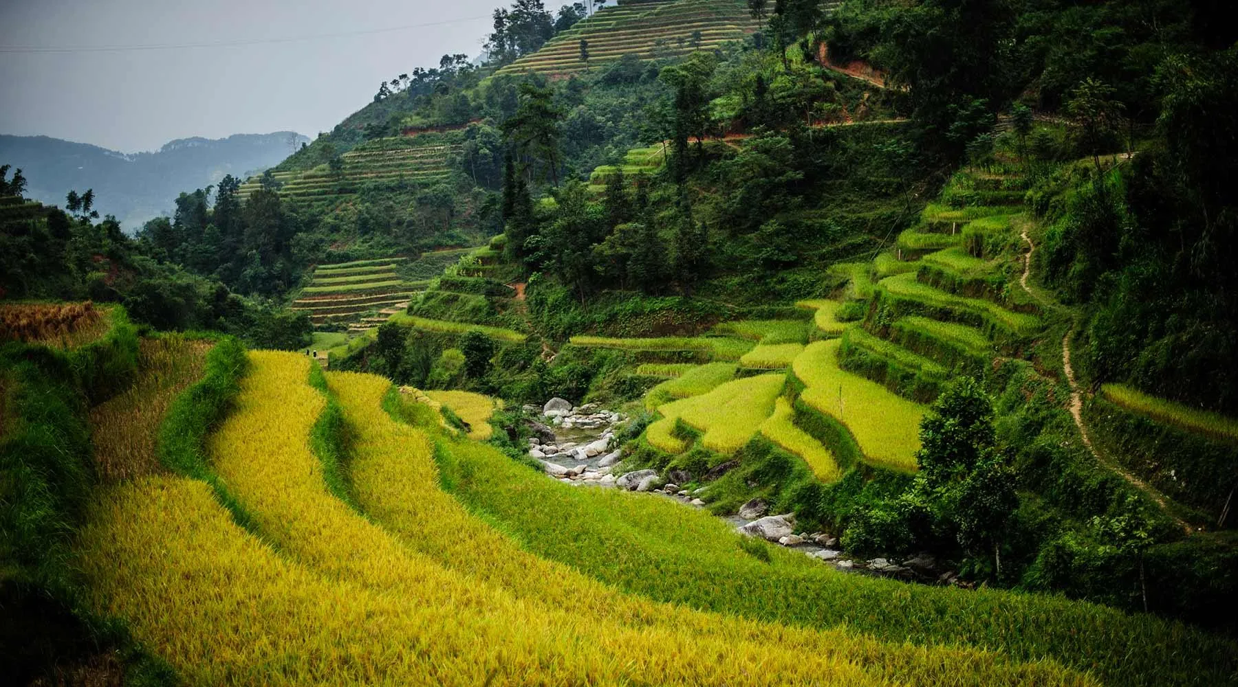 hoang-su-phi-ha-giang-0951