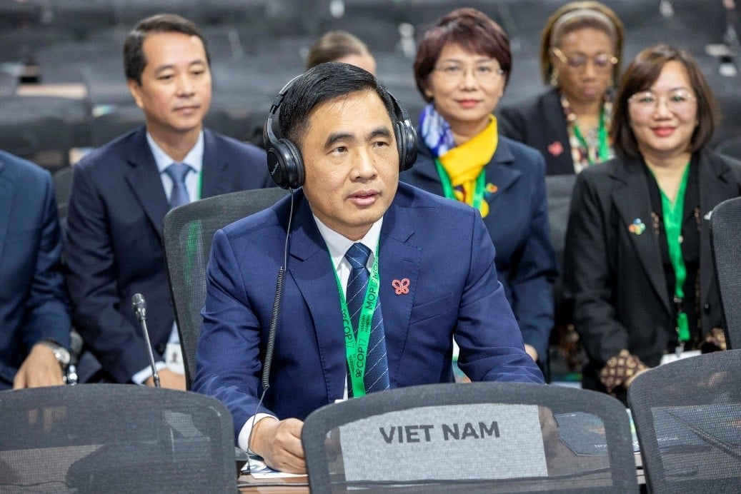 Việt Nam đề xuất tăng cường nguồn lực cho đa dạng sinh học tại COP17 - Ảnh 2
