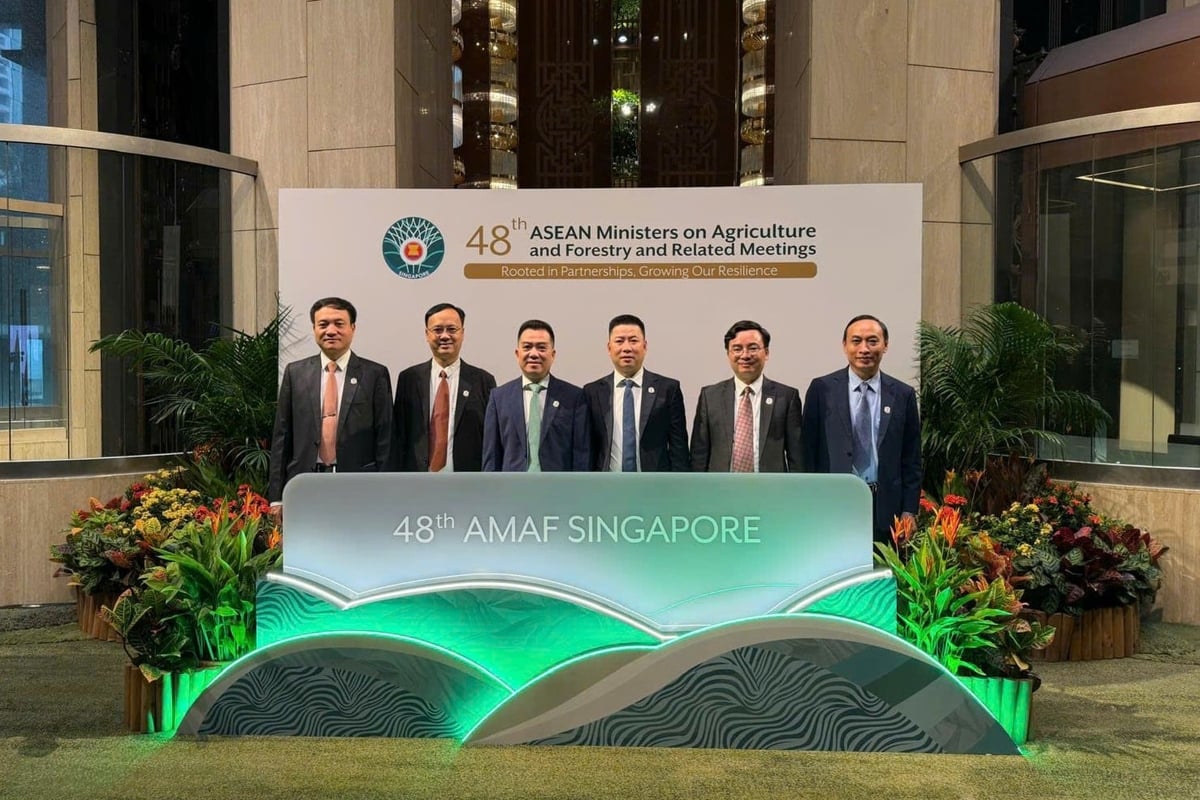Việt Nam đề xuất 3 ưu tiên hợp tác nông-lâm nghiệp ASEAN giai đoạn 2026-2030 - Ảnh 2