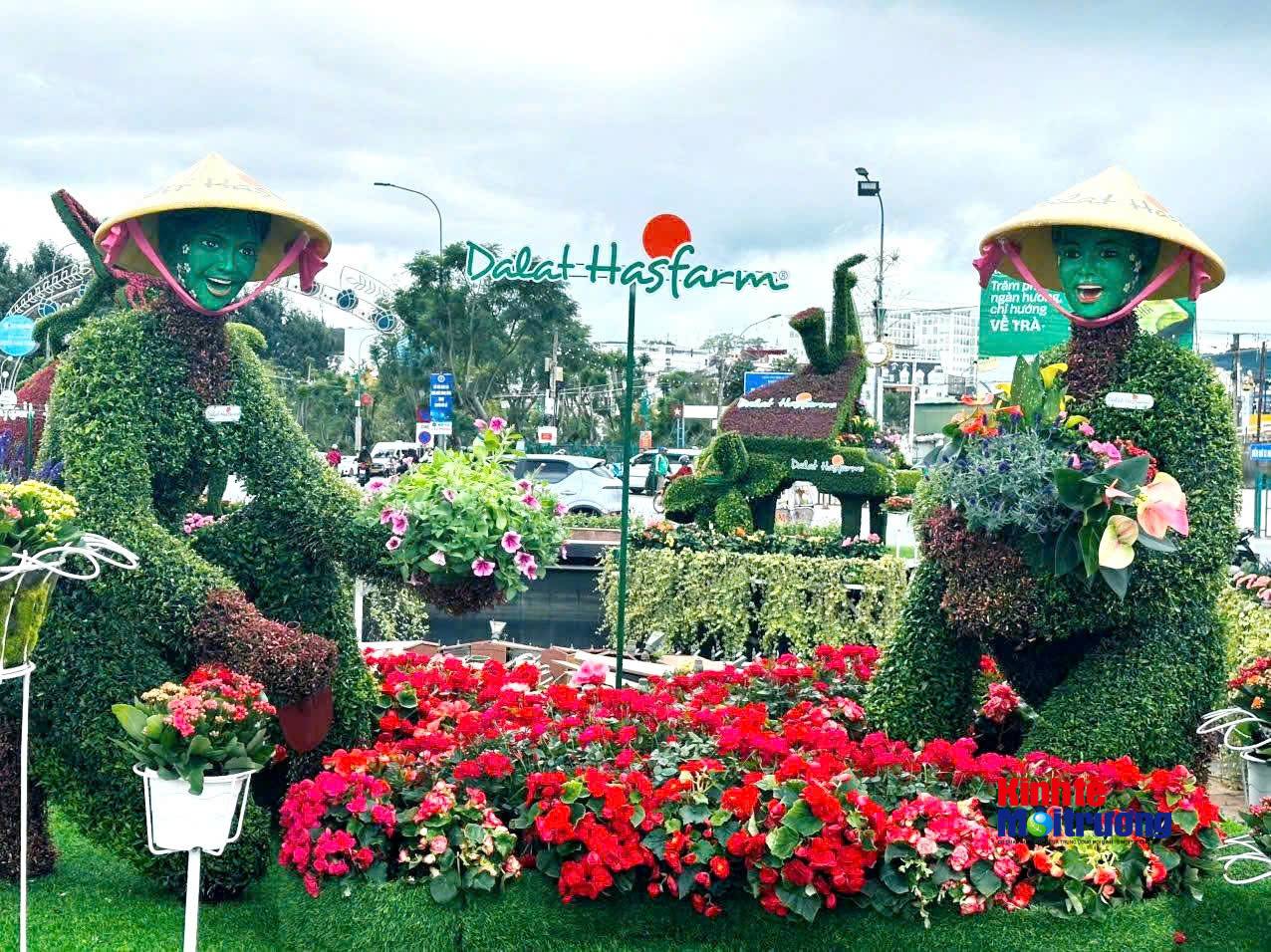 Phường Xuân Hương - Đà Lạt chuẩn bị Festival Hoa 2026: Sức sống từ những tuyến phố hoa cộng đồng - Ảnh 1