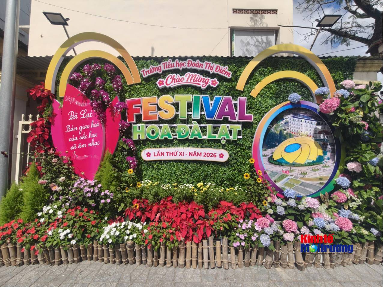 Phường Xuân Hương - Đà Lạt chuẩn bị Festival Hoa 2026: Sức sống từ những tuyến phố hoa cộng đồng - Ảnh 3
