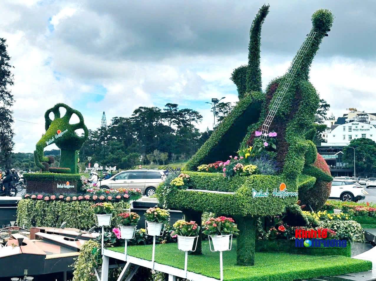 Phường Xuân Hương - Đà Lạt chuẩn bị Festival Hoa 2026: Sức sống từ những tuyến phố hoa cộng đồng - Ảnh 6