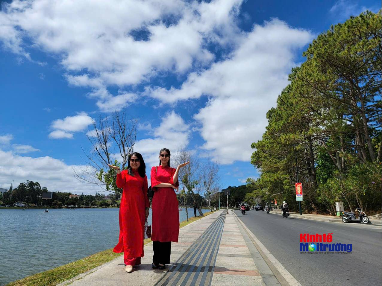 Phường Xuân Hương - Đà Lạt chuẩn bị Festival Hoa 2026: Sức sống từ những tuyến phố hoa cộng đồng - Ảnh 7