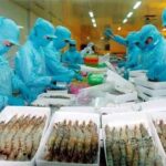 Xuất khẩu thủy sản vượt 9,1 tỷ USD, tăng trưởng đứng trước bài toán bền vững