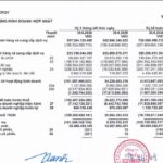 BCG Energy lỗ 6 tháng, hàng nghìn tỷ đồng liên quan đến Tâm Sinh Nghĩa