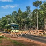 Nắm giữ “kỷ lục kép” thế giới: Vinpearl Safari Phú Quốc “khủng” cỡ nào?