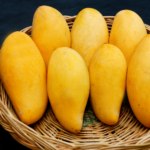 Chọn xoài ngon đừng chỉ nhìn quả to, 5 dấu hiệu giúp nhận biết quả thơm ngọt, thịt dày
