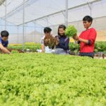 Lâm Đồng tìm cách tháo điểm nghẽn giải ngân vốn chương trình mục tiêu quốc gia