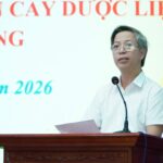 Lào Cai phát triển cây dược liệu gắn với bảo tồn tài nguyên và sinh kế xanh