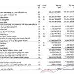 Cao su Đắk Lắk (DRI): Lãi hơn 142 tỷ đồng sau 6 tháng, dự chi 73,2 tỷ đồng trả cổ tức