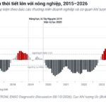 El Nino mạnh lên, doanh nghiệp phân bón đối mặt những rủi ro nào?