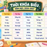 ‘Bấm bụng’ cho con học môn liên kết
