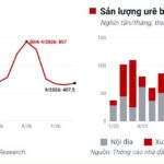 Đề xuất đưa thuế xuất khẩu phân bón về 0%: Doanh nghiệp nào hưởng lợi?