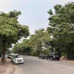 Trốn mùi hoa sữa Hà Nội