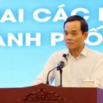 TP HCM theo sát tiến độ tăng trưởng mỗi hai tuần