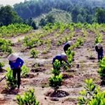 Thanh Hóa: Kinh tế tiếp tục có bước phát triển, quản lý tài nguyên, bảo vệ môi trường được quan tâm