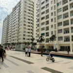 TP HCM đã cấp sổ hồng cho hơn 43.000 căn nhà