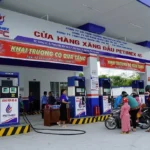 Thanh tra Chính phủ: Petimex ‘găm’ xăng dầu liên tục, có ngày vượt 500%