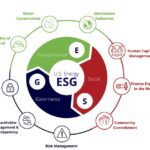 Sự cố ESG và chính sách chi trả cổ tức của doanh nghiệp: Bằng chứng từ rủi ro danh tiếng trên phạm vi toàn cầu