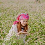 Mục sở thị tam giác mạch khoe sắc, hoa xác pháo tím điểm tô đỉnh Fansipan