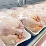 4 dấu hiệu cần tránh khi mua gà chặt sẵn, giá rẻ cũng đừng ham