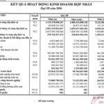 Vì sao sản lượng tiêu thụ tăng hơn 36%, lợi nhuận 9 tháng của Phân bón Bình Điền vẫn giảm?