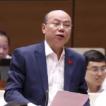 Đề xuất cho bán dự án bỏ hoang chưa hoàn thành nghĩa vụ tài chính