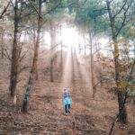 5 cung đường trekking đẹp từ Bắc vào Nam dành cho người mê khám phá